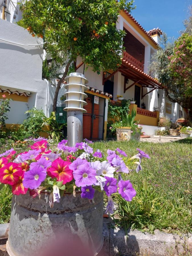 Villa A Tejada Ortiga Esterno foto